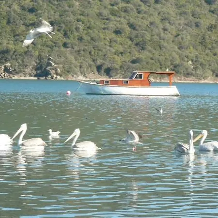 아파트 Flamingo Country Club Houses